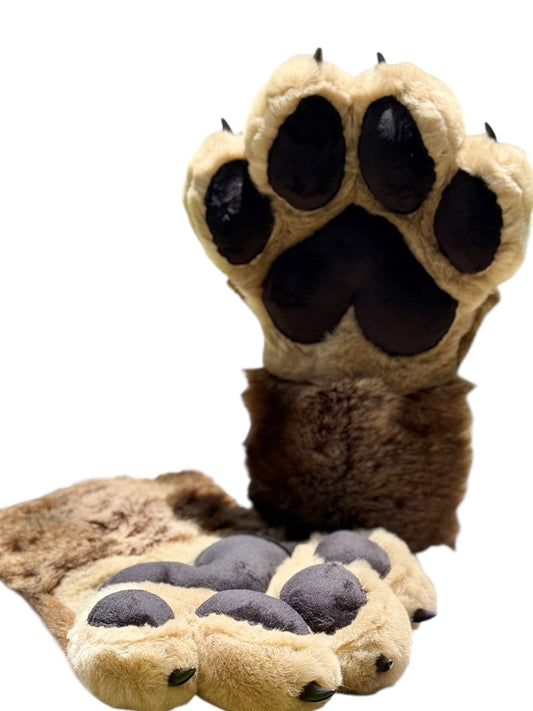 Brown & Beige Paws with Claws